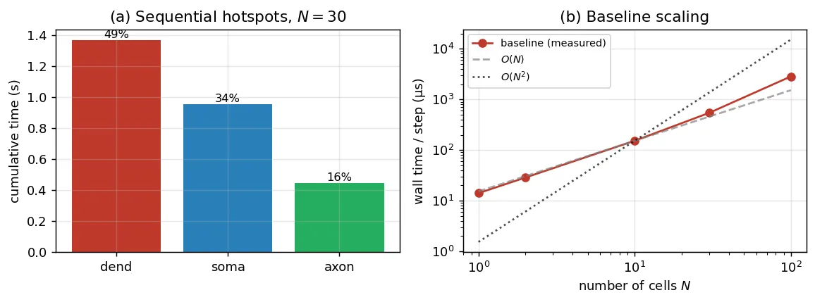 cProfile breakdown of the sequential baseline simulator, dominated by the gap-junction coupling