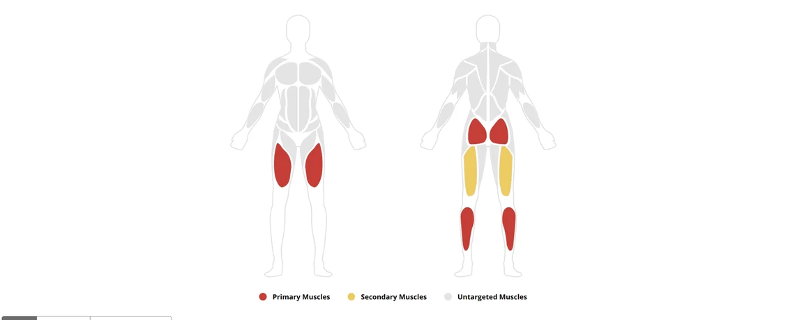Garmin Connect's front and back muscle map with quadriceps, glutes and calves marked as primary and hamstrings as secondary